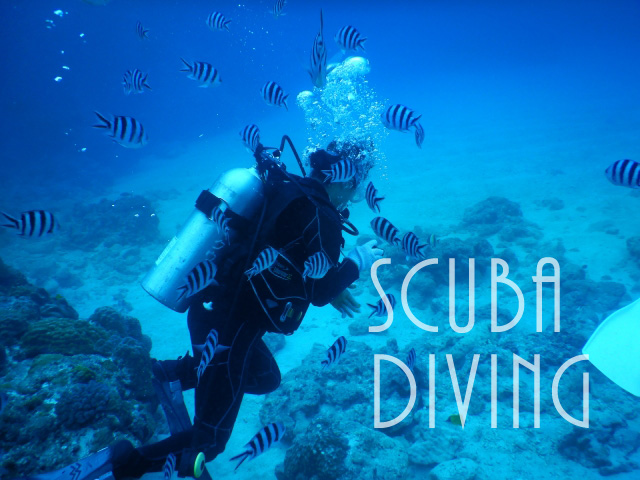 #スキューバダイビング