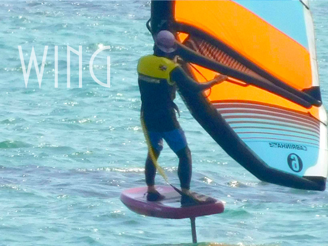 #ウィングフォイル